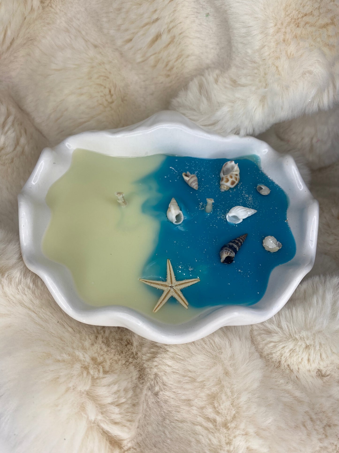 Coquillage XXL