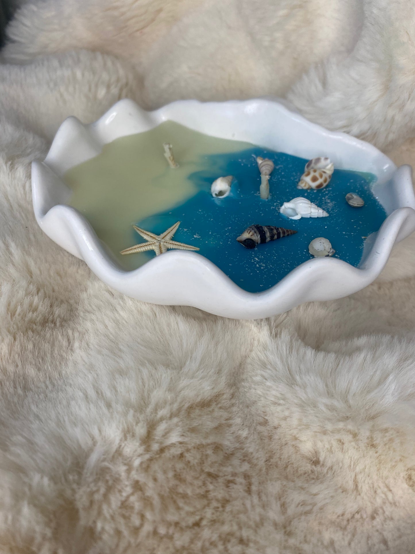 Coquillage XXL