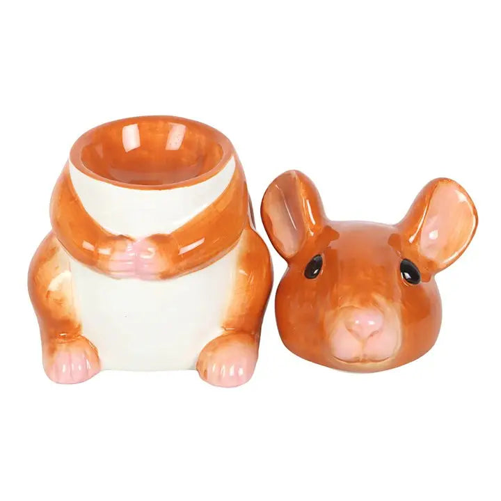 Souris