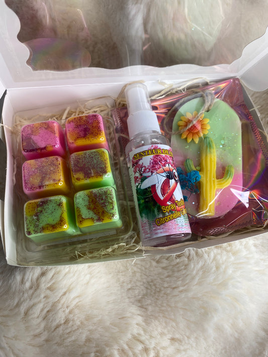 Kit de survie Anti Moustique