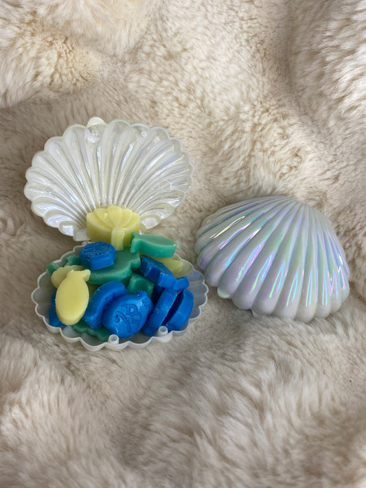 Coquillage fondants