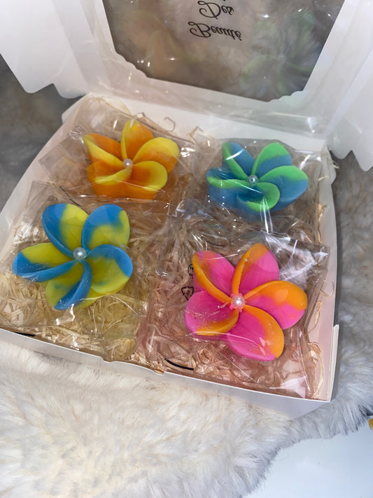 Coffret beauté des îles