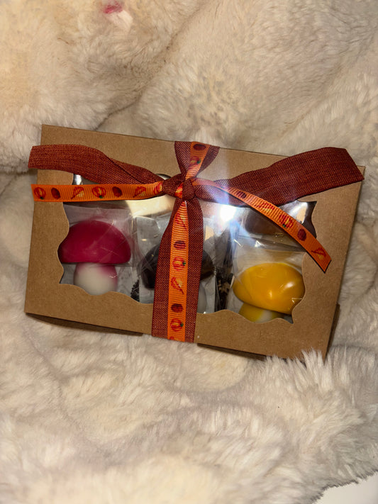 Coffret Automne