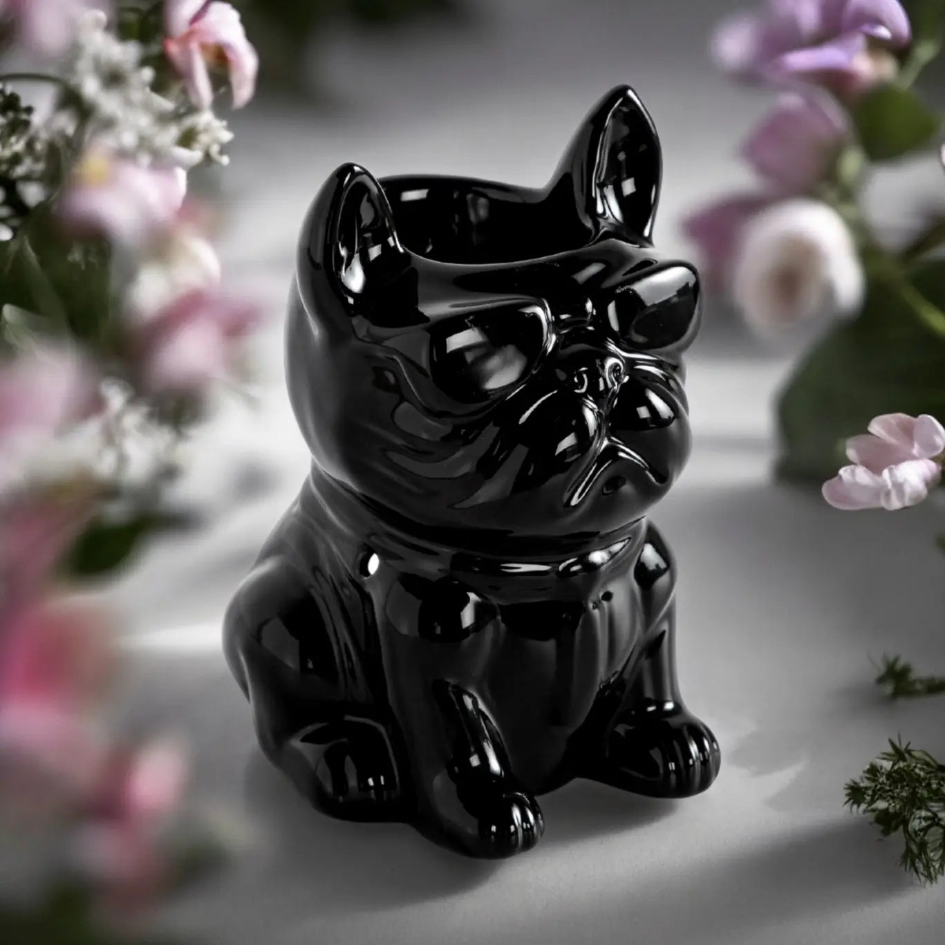 Boubou noir