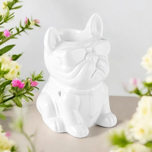 Boubou blanc