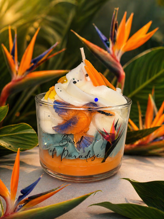 Oiseau de paradis