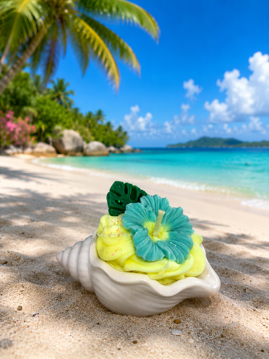 Bulot Bora Bora