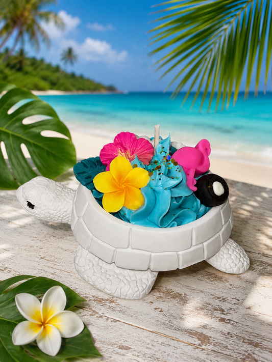 Tortue tropicale