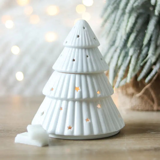 Sapin blanc