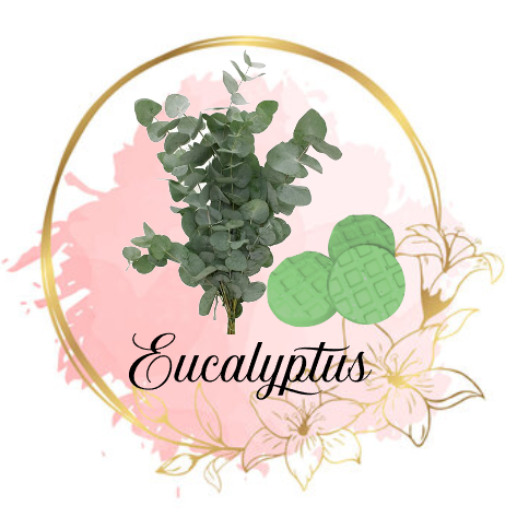 Eucalyptus