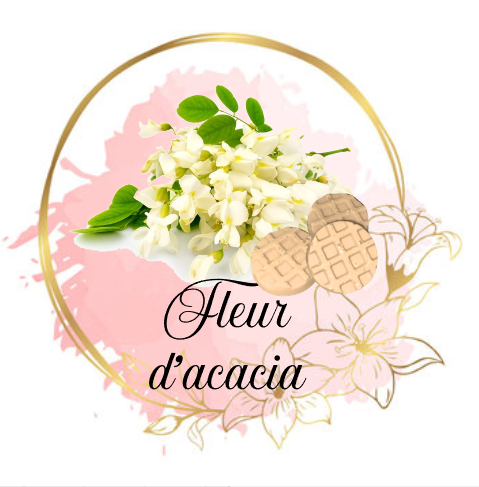 Fleur d'acacia