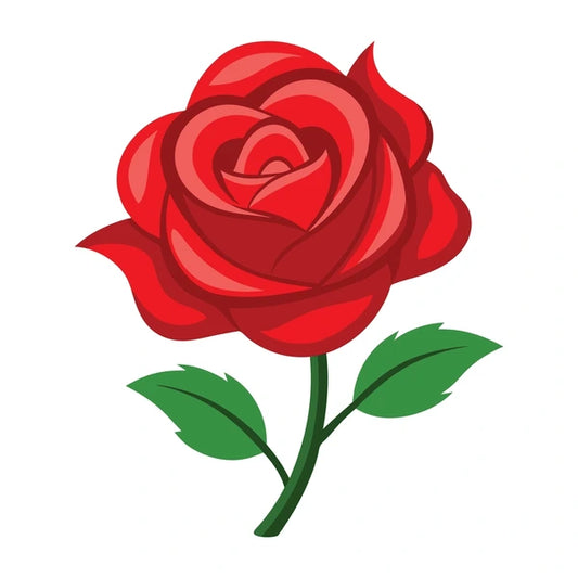 Rose éternelle