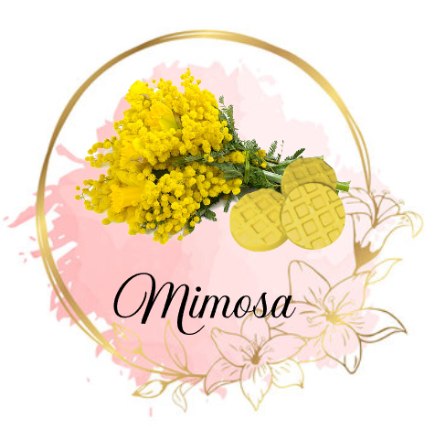 Mimosa