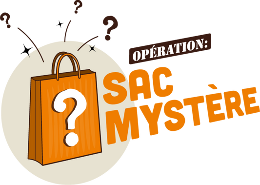 Sac mystère 10e