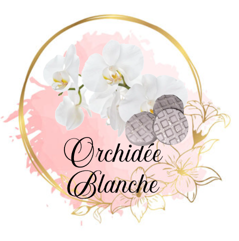 Orchidée Blanche